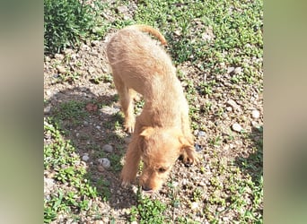 Kendy sucht ihre Herzensmenschen