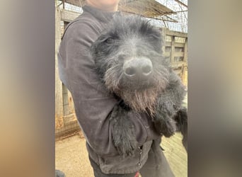 Jenga möchte die Welt mit dir entdecken