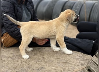Neela wartet auf ihr Happy End
