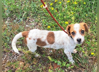 Die kleine Lilou kann bald in Hessen besucht werden