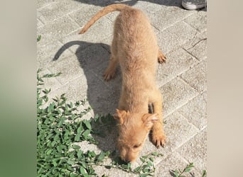 Kendy sucht ihre Herzensmenschen