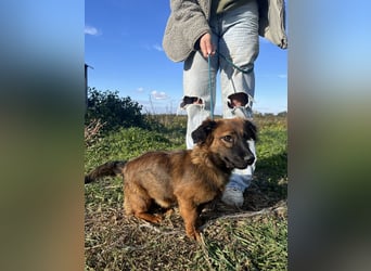 Kleine Maus Luca sucht ihre Herzensmenschen