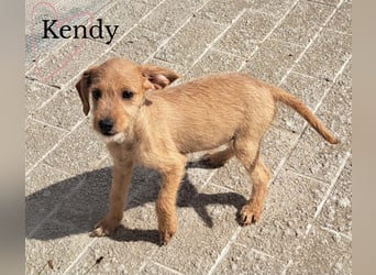 Kendy sucht ihre Herzensmenschen
