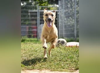 kleine Maus Fura sucht ihr Glück
