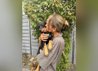 Cola -  kleine Schmusemaus sucht ihr Für-immer-Zuhause ❤️