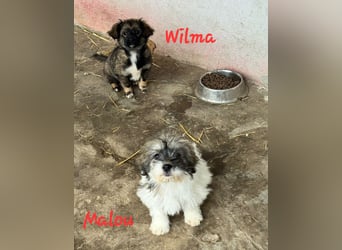 MALOU & WILMA