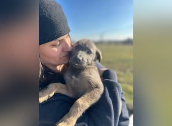 Xerox, süßer geht fast nicht