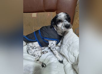 Henry, seid Ihr bereit für mich