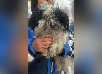 Henry, seid Ihr bereit für mich