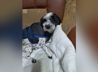 Henry, seid Ihr bereit für mich