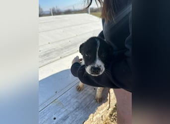 Xenia, süß, süsser - mehr geht nicht