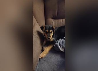 MOJCA ❤  wartet in 30449 Hannover auf Dich