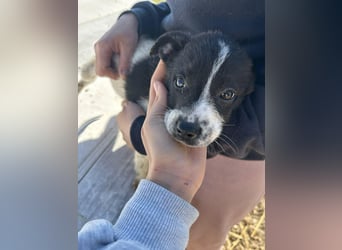 Xenia, süß, süsser - mehr geht nicht