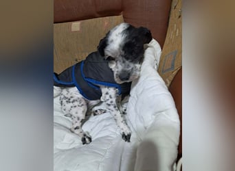 Henry, seid Ihr bereit für mich