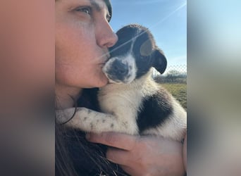 Xenia, süß, süsser - mehr geht nicht