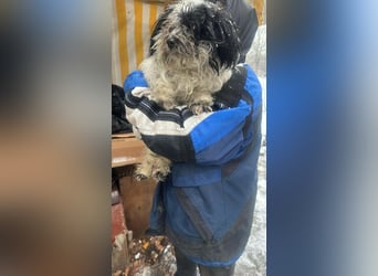 Henry, seid Ihr bereit für mich