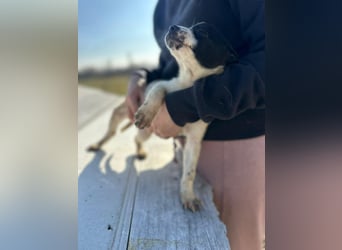 Xenia, süß, süsser - mehr geht nicht