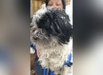 Henry, seid Ihr bereit für mich