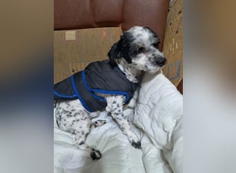 Henry, seid Ihr bereit für mich