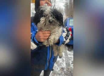 Henry, seid Ihr bereit für mich