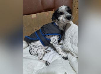 Henry, seid Ihr bereit für mich