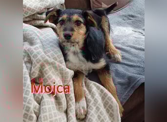 MOJCA ❤  wartet in 30449 Hannover auf Dich