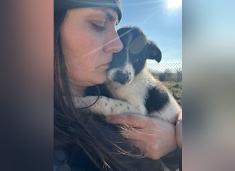 Xenia, süß, süsser - mehr geht nicht