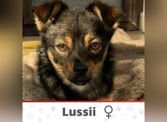 LUSSII ❤  wartet in 26180 Rastede auf Dich