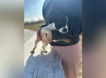 Xenia, süß, süsser - mehr geht nicht