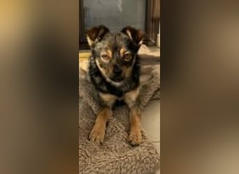 LUSSII ❤  wartet in 26180 Rastede auf Dich