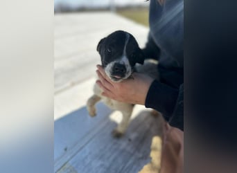 Xenia, süß, süsser - mehr geht nicht