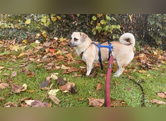 ELLO sucht ein Zuhause