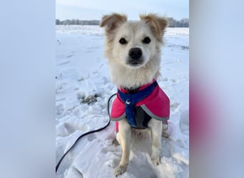 Lebensfrohe Maja sucht ihre Menschen