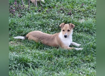 Lilly sucht eine eigene Familie