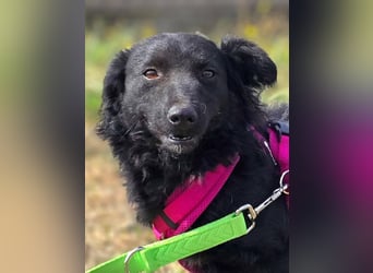 Fistra - kleine Seele sucht großes Glück