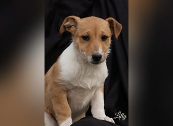 Lilly sucht eine eigene Familie