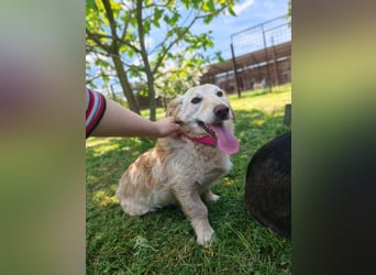 Luna sucht ein liebevolles Zuhause