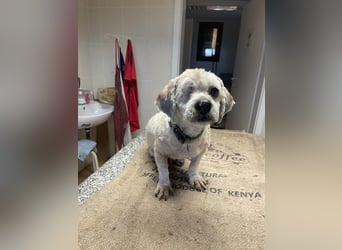 Duci - er gibt die Hoffnung nicht auf