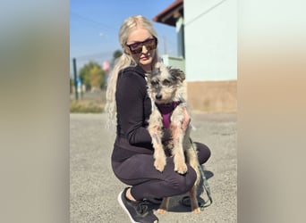 Matilda bildhübsch und sehr lieb