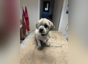 Duci - er gibt die Hoffnung nicht auf