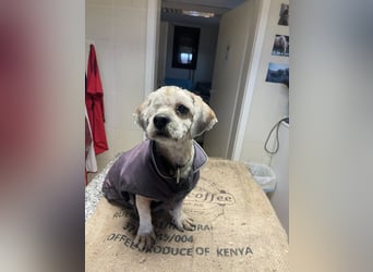 Duci - er gibt die Hoffnung nicht auf