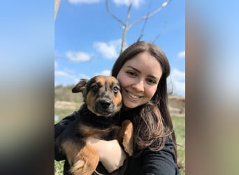 Zenya - freundliche, lebensfrohe Hündin sucht ein Zuhause