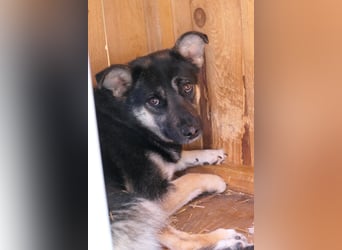 ängstliche NEJA sucht geduldige Menschen