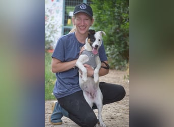 Galina - freundlich, nett und liebt es zu kuscheln