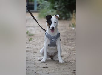 Galina - freundlich, nett und liebt es zu kuscheln