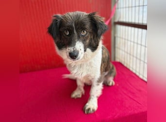 liebenswerter kleiner Schatz HEDI - 2 Jahre/35cm