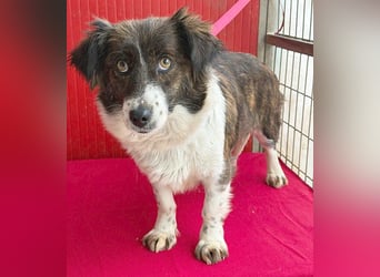 liebenswerter kleiner Schatz HEDI - 2 Jahre/35cm