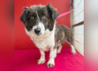 liebenswerter kleiner Schatz HEDI - 2 Jahre/35cm