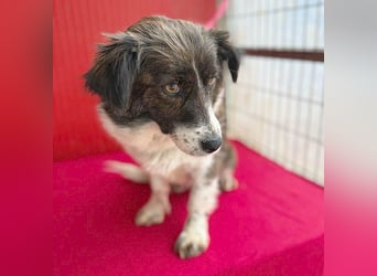 liebenswerter kleiner Schatz HEDI - 2 Jahre/35cm