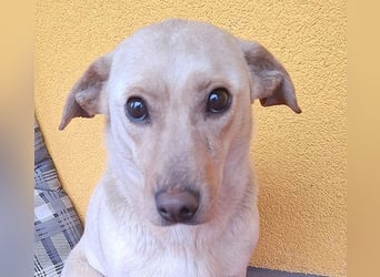 ❤️❤️❤️ (R)* liebenswerter kleiner Schatz HEDI - 2 Jahre/35cm